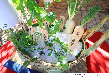 七草かご 春の七草の寄せ植え 七草かご 春の七草の寄せ植え 110312255