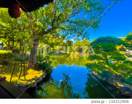 沖縄_福州園 沖縄_福州園 110312908