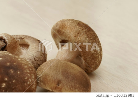 美味しそうな椎茸 110312993