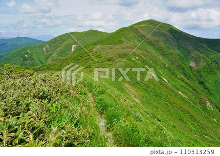 小鷲倉からの和賀岳山頂への稜線 110313259