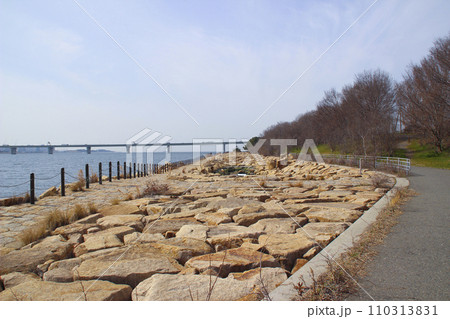 矢倉緑地／大阪府大阪市西淀川区西島2丁目 110313831
