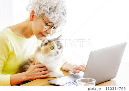 家で猫を抱っこするしながらパソコンを使う日本人シニア女性（猫・飼い主） 110314766