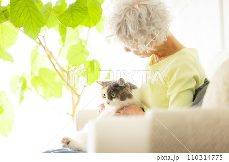 家で猫を抱っこする日本人シニア女性（猫・飼い主） 110314775