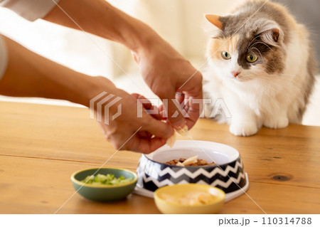 餌が気になり忍び寄る猫 110314788