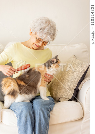 猫のブラッシングをするシニア女性（猫・飼い主） 110314801