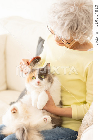 猫のブラッシングをするシニア女性（猫・飼い主）　 110314810