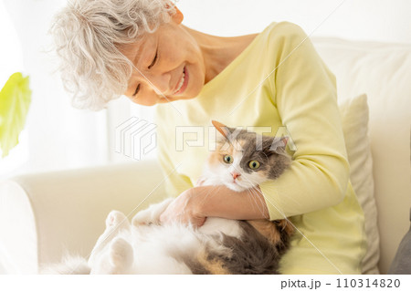 家で猫を抱っこする日本人シニア女性(猫・飼い主) 家で猫を抱っこする日本人シニア女性(猫・飼い主) 110314820