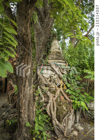 THAILAND AMPHAWA WAT BANG KAPOM 110314887