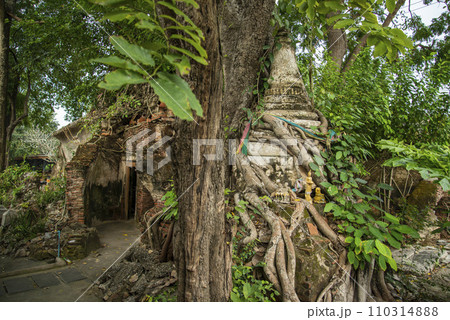 THAILAND AMPHAWA WAT BANG KAPOM THAILAND AMPHAWA WAT BANG KAPOM 110314888