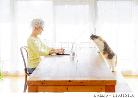 猫の居る暮らし（猫・飼い主） 110315116