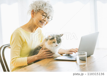 家で猫を抱っこするしながらパソコンを使う日本人シニア女性（猫・飼い主） 110315136