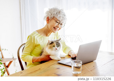家で猫を抱っこするしながらパソコンを使う日本人シニア女性(猫・飼い主) 家で猫を抱っこするしながらパソコンを使う日本人シニア女性(猫・飼い主) 110315226