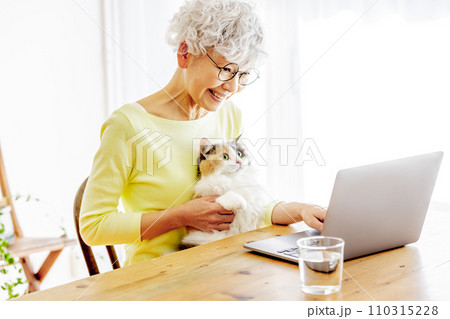 家で猫を抱っこするしながらパソコンを使う日本人シニア女性（猫・飼い主） 110315228