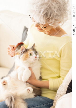 猫のブラッシングをするシニア女性(猫・飼い主) 猫のブラッシングをするシニア女性(猫・飼い主) 110315238