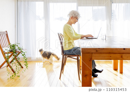 猫の居る暮らし（猫・飼い主） 110315453