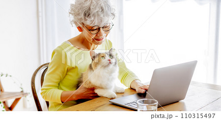 家で猫を抱っこするしながらパソコンを使う日本人シニア女性（猫・飼い主） 110315497