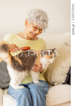 猫のブラッシングをするシニア女性(猫・飼い主) 猫のブラッシングをするシニア女性(猫・飼い主) 110315501