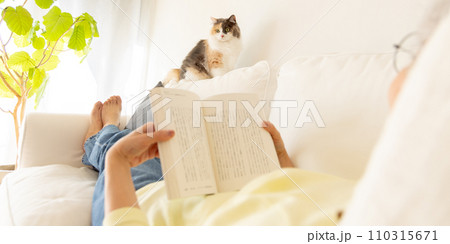 猫の居る暮らし ソファーで寝そべって読書する女性の上を歩く猫(猫・飼い主) 猫の居る暮らし ソファーで寝そべって読書する女性の上を歩く猫(猫・飼い主) 110315671