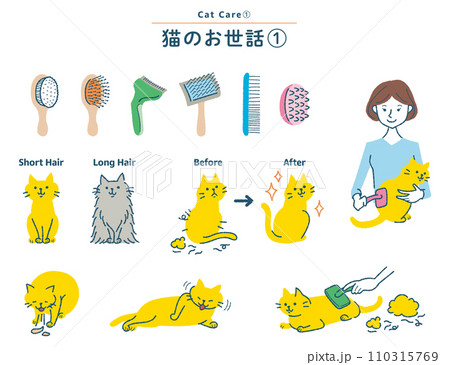猫のブラッシングに関するイラストセット 猫のブラッシングに関するイラストセット 110315769