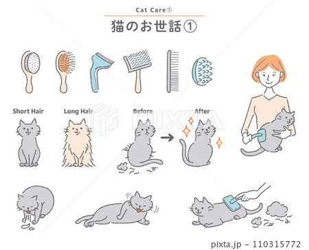 猫のブラッシングに関するイラストセット 110315772