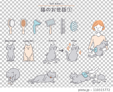 猫のブラッシングに関するイラストセット 110315772