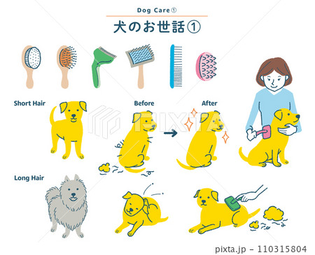 犬のブラッシングに関するイラストセット 110315804
