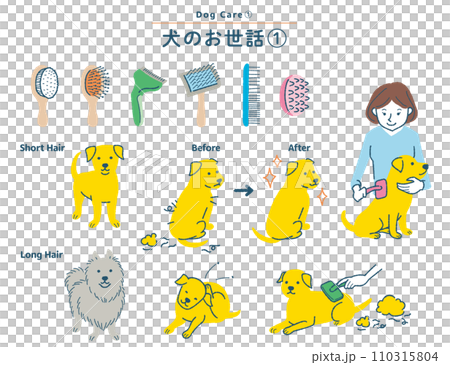 Illustration set about dog brushing 110315804