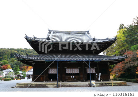 京都　御寺 泉涌寺　仏殿と紅葉 110316163