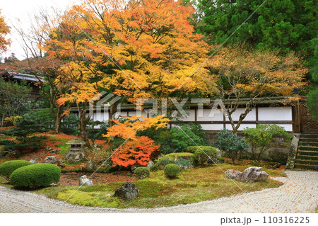 京都 秋の泉涌寺 御座所庭園 京都 秋の泉涌寺 御座所庭園 110316225
