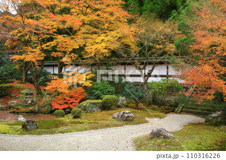京都 秋の泉涌寺 御座所庭園 京都 秋の泉涌寺 御座所庭園 110316226