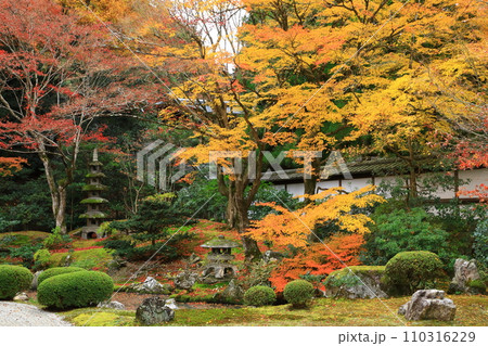 京都　秋の泉涌寺　御座所庭園 110316229