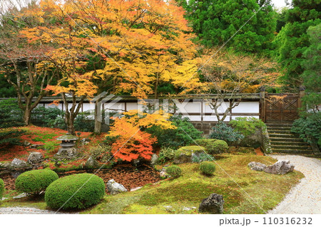 京都　秋の泉涌寺　御座所庭園 110316232