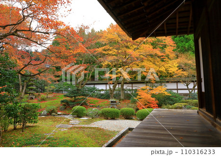 京都　秋の泉涌寺　御座所庭園 110316233
