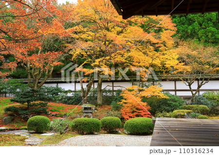 京都　秋の泉涌寺　御座所庭園 110316234