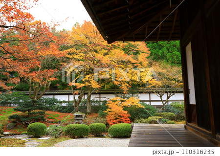 京都　秋の泉涌寺　御座所庭園 110316235
