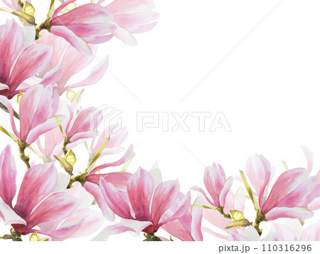Floral banner, frame with watercolor pink magnolias flowers, buds and leaves Hand painted isolated illustration on white background. Botanical template for wedding, invitations or greeting cards Floral banner, frame with watercolor pink magnolias flowers, buds and leaves Hand painted isolated illustration on white background. Botanical template for wedding, invitations or greeting cards 110316296