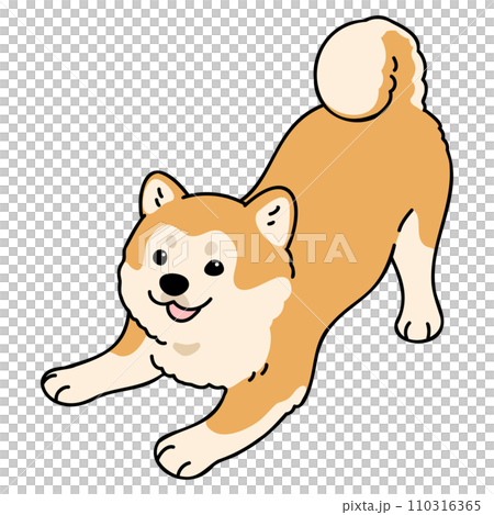 Illustration of a simple and cute Akita dog that invites you to play, with main lines 110316365