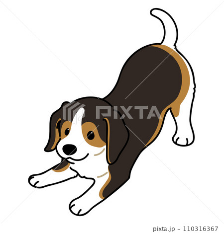 遊びに誘うシンプルで可愛いこげ茶のビーグルのイラスト 主線あり 遊びに誘うシンプルで可愛いこげ茶のビーグルのイラスト 主線あり 110316367