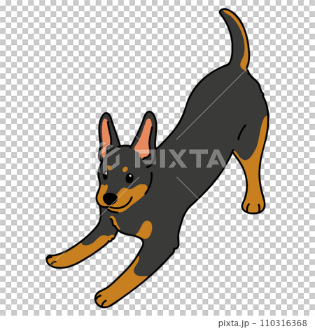 簡單可愛的杜賓犬插畫邀請你一起玩,主線 簡單可愛的杜賓犬插畫邀請你一起玩,主線 110316368