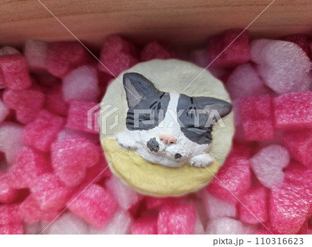 ハチワレ猫 110316623