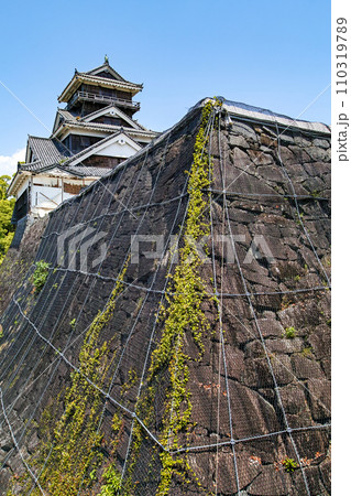 熊本県/ 震災の傷が目立つ新緑の熊本城・宇土櫓 110319789