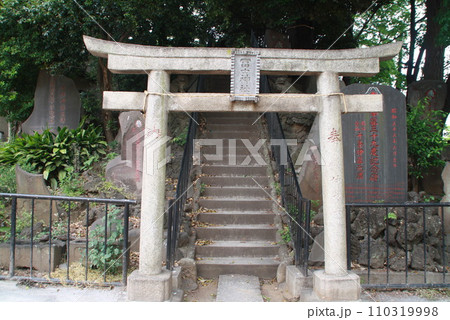 十条富士 十条富士 110319998