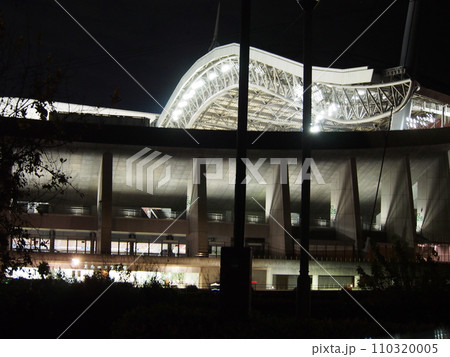 豊田スタジアムの夜景 110320005