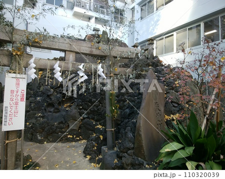 鉄砲洲富士 110320039