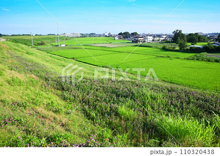 夏の田園風景 荒川土手からの眺め 指扇駅方面 さいたま市 夏の田園風景 荒川土手からの眺め 指扇駅方面 さいたま市 110320438