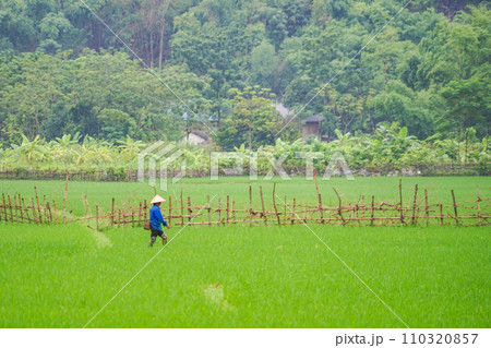 マイチャウの風景 110320857