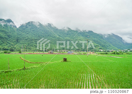マイチャウの風景 110320867