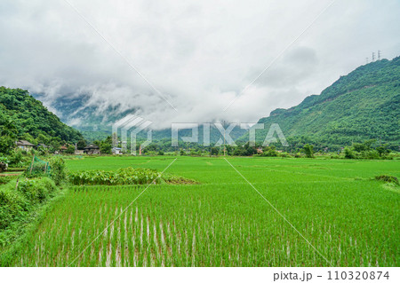 マイチャウの風景 110320874