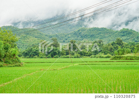 マイチャウの風景 110320875