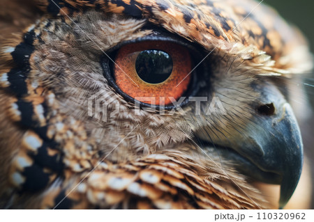 AI-generated content. Close up of an owls eye 110320962